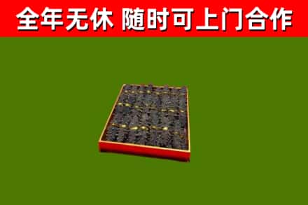 望谟回收海参